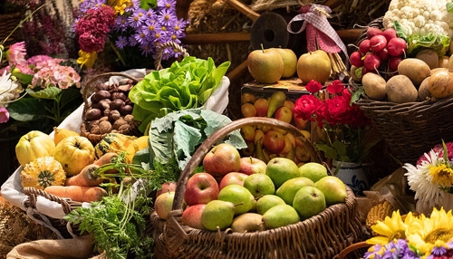 Neue Ernährungsempfehlungen der DGE