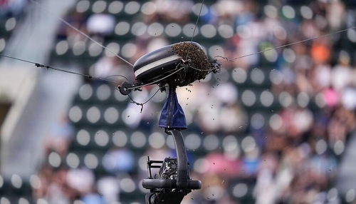 Bienen-Attacke beim Tennis in Indian Wells und Heilbronner Falken gegen Memmingen