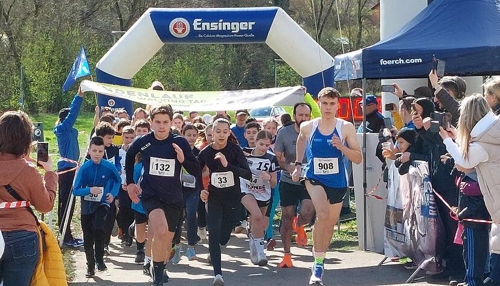 „Euphorische Stimmung“: Über 800 Teilnehmer beim Lindenlauf in Neuenstadt