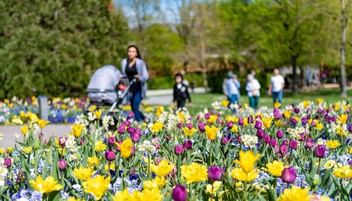 Osterzeit in Heilbronn: Der Weinpavillon als Highlight