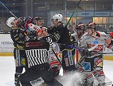 Heilbronner Falken: Siege in der Eishockey-Liga