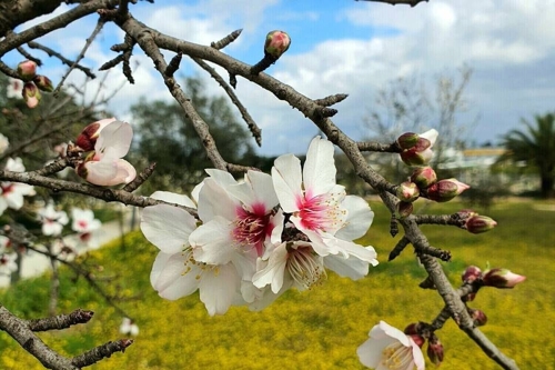 Herxheim: Genießen mit allen Sinnen