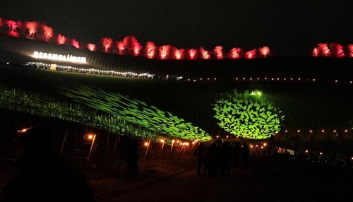 Rebenglühen bei Bretzfeld: Ein Fest für Weinliebhaber