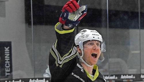 Heilbronner Falken in den Playoffs