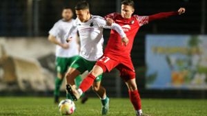 Fußball Landesliga: TSV Heimerdingen zittert sich zum Sieg