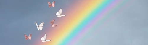 Bildungsangebote in Heilbronn: Volkshochschule und weitere Einrichtungen