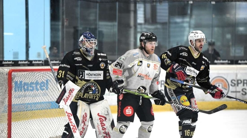 Heilbronner Falken sichern sich Matchpucks gegen Black Dragons