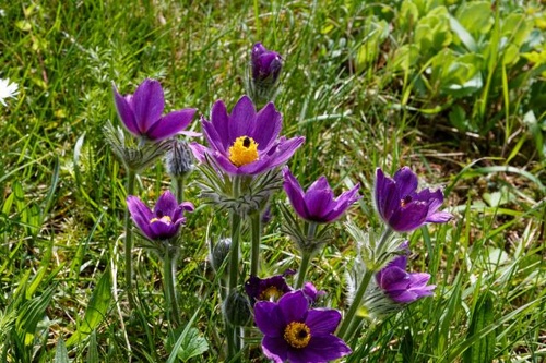Netzwerk Haushalt Treffen bei einem Gläschen Sekt