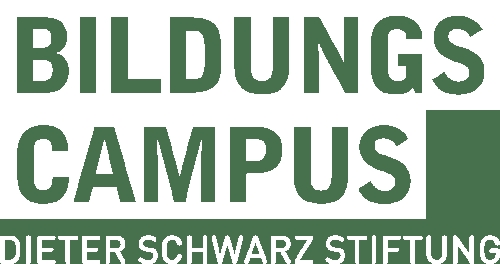 Förderung der Bildung in Heilbronn durch die Dieter Schwarz Stiftung