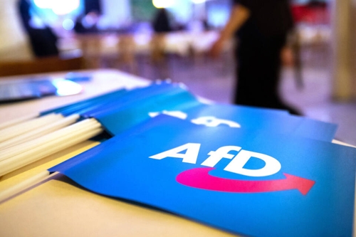 Politische Bildung und die AfD in Baden-Württemberg