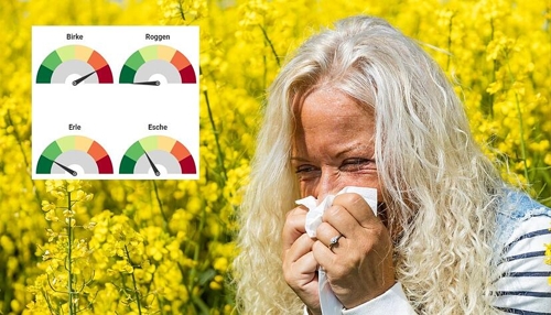 Pollenflug in Heilbronn: Was Sie wissen müssen