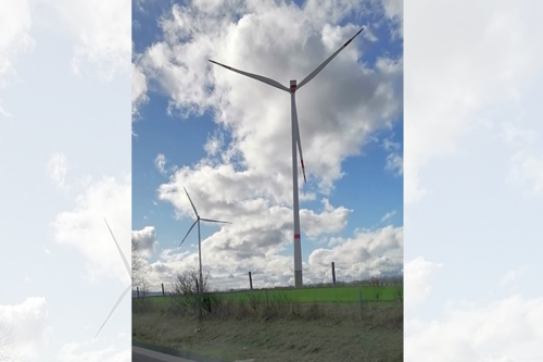 Wein und Wissen am Neckar