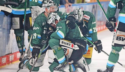 Bietigheim Steelers: Vom DEL-Abstieg bis zur Oberliga