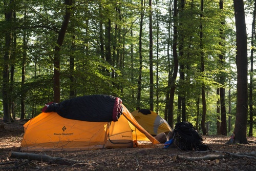 Südliche Weinstraße: Mitten im Wald zelten