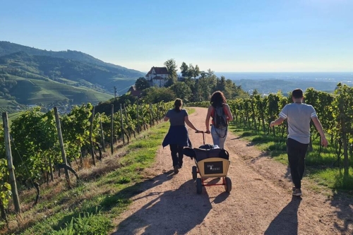 Mit Bollerwagen und Hex: Weinwandern am Schwarzwaldrand