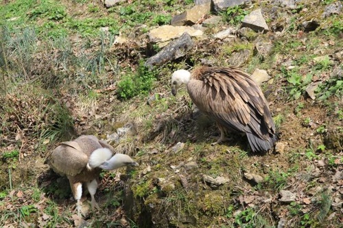 Nachhaltigkeit und Bildung: Eine zentrale Rolle in Heilbronn