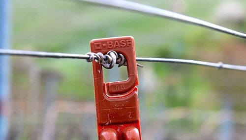 Innovative Verwirrmethode mit Sex-Duftstoffen in Heilbronner Weinbergen