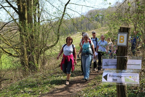 Blütenwegfest in Hirschberg feiert lokale Weinkultur