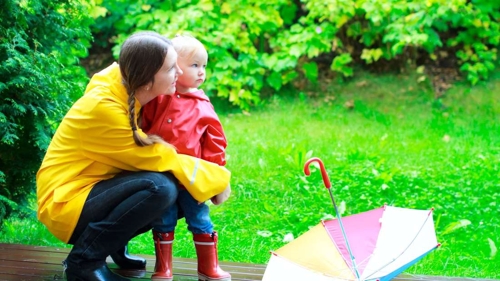 Hundertjähriger Kalender und die Weinblüte