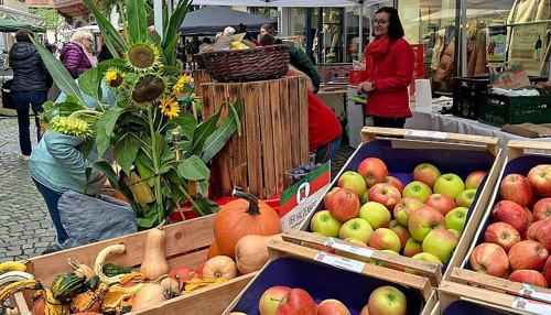 Herbstmarkt in Öhringen: Wein und Genuss im Fokus