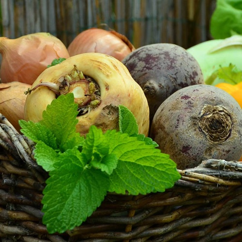 Obsthof Gunsser: Traditioneller Wein- und Obstanbau in Affalterbach