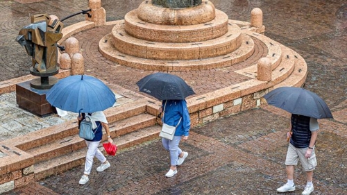 Cannstatter Wasen: Ein Ankerplatz für Weinkenner