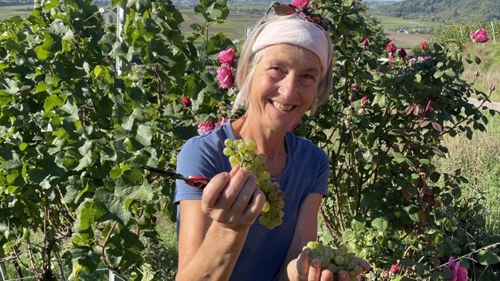 Öko-Winzerin in Tübingen