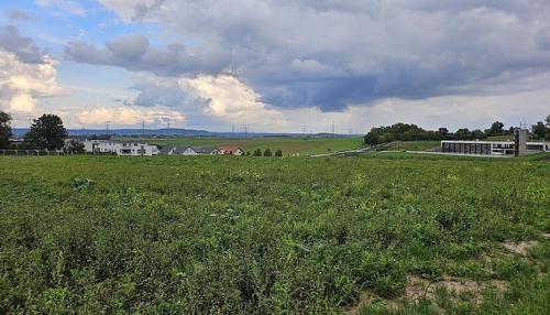 Leingarten setzt auf digitales Punktesystem