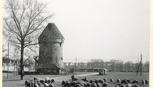 Freizeit-Tipps und digitale Spielwelten in Heilbronn