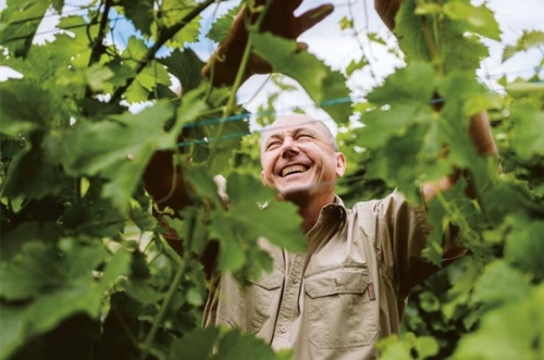 Ökologisches Weingut Schäfer-Heinrich in Heilbronn