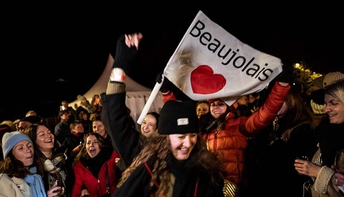 Beaujolais Nouveau rollt an – Weniger Wein, beste Qualität