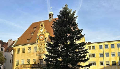 Weihnachtsbaumpreise in Heilbronn: Weinbau als wirtschaftliches Standbein