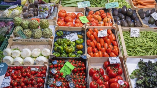 Herausforderungen im Weinbau in Eberstadt, Landkreis Heilbronn