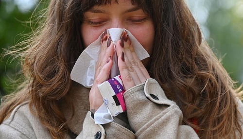 Grippewelle in Heilbronn: Anstieg der Fälle