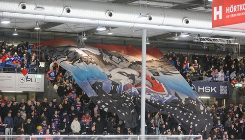 Herausforderungen der Heilbronner Falken: Vertrauen und Transparenz in der Kritik