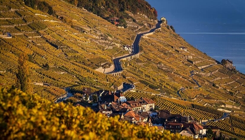 Schweizer Politiker und Waadtländer Wein