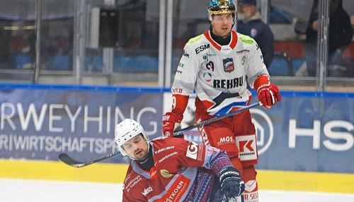 Insolvenz bei den Heilbronner Falken: Spielbetrieb soll gesichert werden