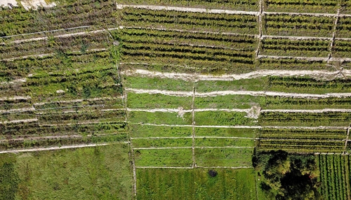 Steile Lagen nicht um jeden Preis bewirtschaften