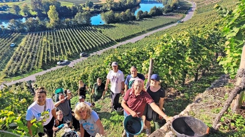Weinmesse „Wein von daheim“ und Steillagen-Projekte im Kreis Ludwigsburg