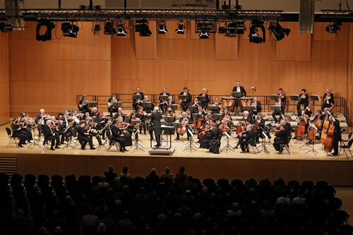 Heilbronner Sinfonie Orchester