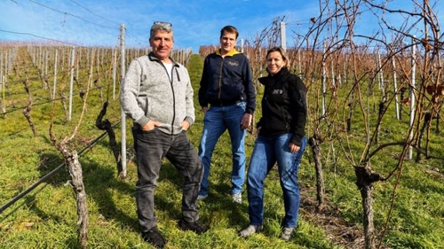Traditionelle Weinherstellung in Esslingen