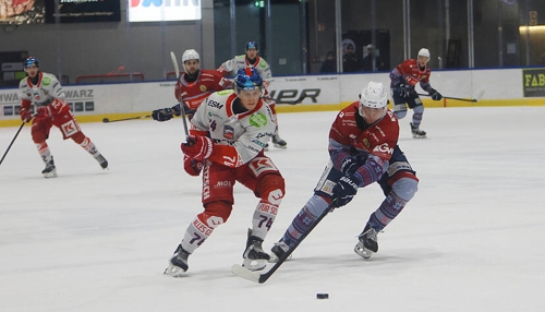 Heilbronner Falken: Starke Leistung in den letzten Heimspielen erwartet