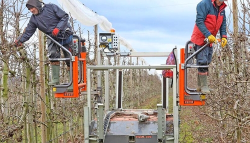 Obstbauern fordern angepassten Pflanzenschutz