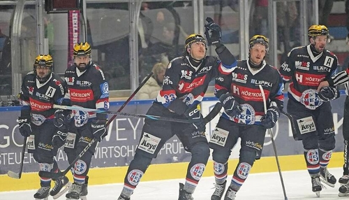 Eishockey in Heilbronn: Zukunftspläne der Heilbronner Eishockey-Teams