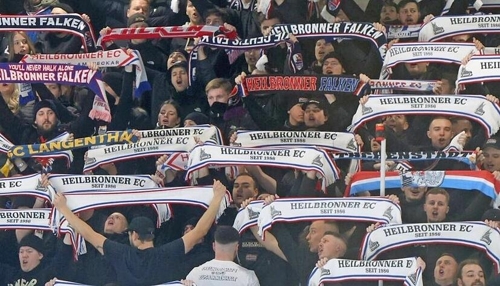 Zukunft des Heilbronner Profi-Eishockeys: Szenarien und Chancen