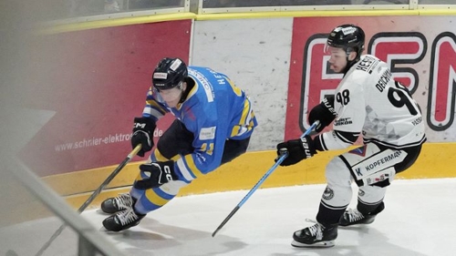 Eishockey: Stuttgart Rebels gewinnen, verlieren aber Spieler