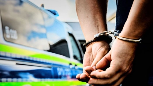 Mutmaßlicher Serieneinbrecher in Heilbronn gefasst