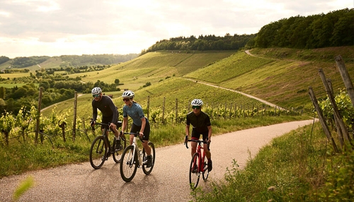 Radtouren im Kraichgau: Eine Entdeckungsreise durch das Weinland