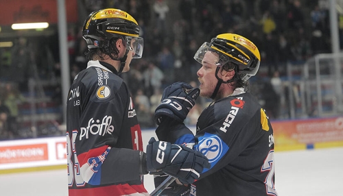 Eisbären Heilbronn starten Halbfinal-Serie gegen Zweibrücken