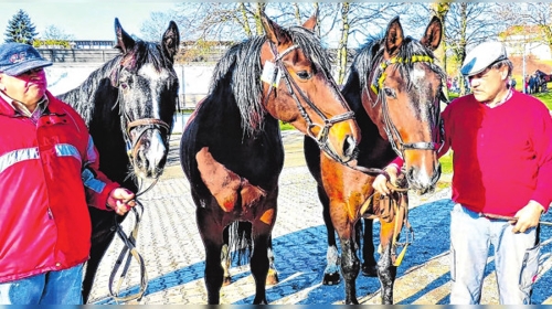 Sportpark Gaildorf: Schnell wieder in Form